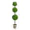 3ft. Potted Eucalyptus Triple Ball Topiary Tree